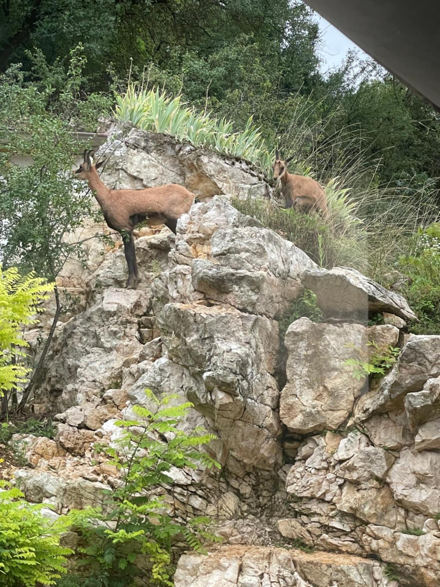 Maison Au Bord De L'Eau Les Roches Rochefort-sur-Nenon Kültér fotó